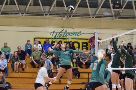 Senior Amanda Montag prepares to strike the ball over the net to score a point against Edison on November 5th.