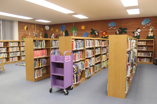 The library offers a wide range of adult and children’s books, but hopes to further expand their resources in the future.