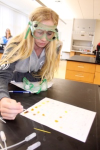 Sophomore Riley Hazelrigg drops various solutions on a chart to determine whether or not they form a solid during Mrs. Neilson’s second period Chemistry class. The students also did two similar labs last week.