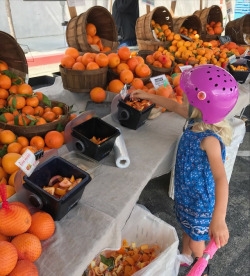 A girl is trying different kinds of fruits in one of the stands which allows anyone to enjoy the variety of fruits for free. Also, this allowed her to practice healthy eating habits and try new things.(37)